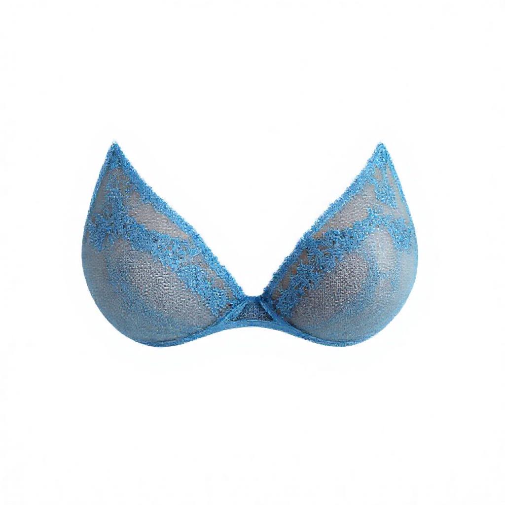 What is Sheer Bikinis